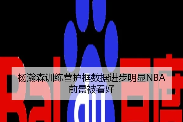 杨瀚森训练营护框数据进步明显NBA前景被看好